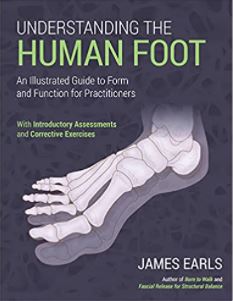 Understanding the Human Foot