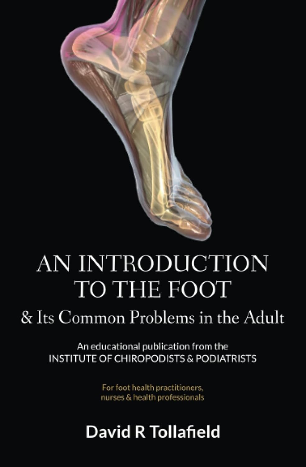 An Introduction to the Foot & Its Common Problems in the Adult