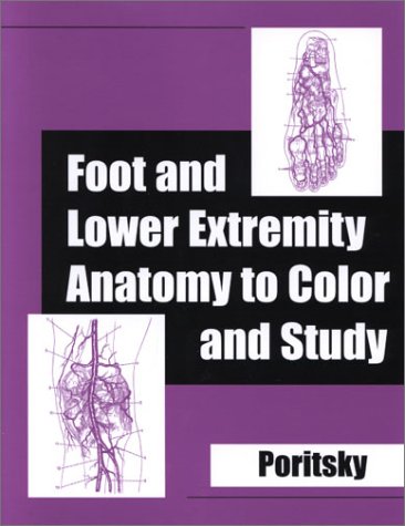 Foot & Lower Extremity Anatomy to Color & Study